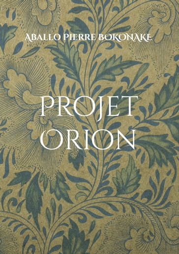Projet Orion - Aballo Pierre Bokonake
