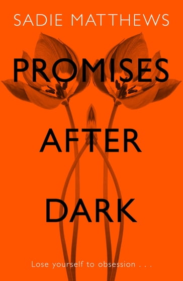 Promises After Dark (After Dark Book 3) - Matthews Sadie