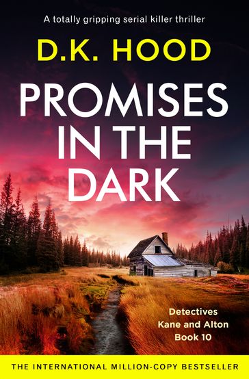 Promises in the Dark - D.K. Hood