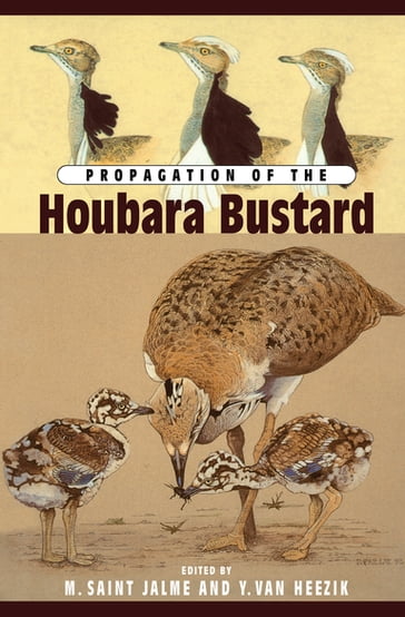 Propagation Of The Houbara Bustard - Saint