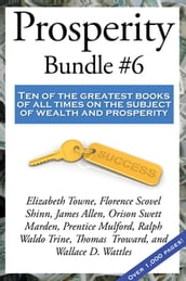 Prosperity Bundle #6