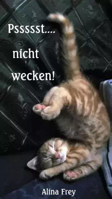 Psssst... nicht wecken! - Alina Frey