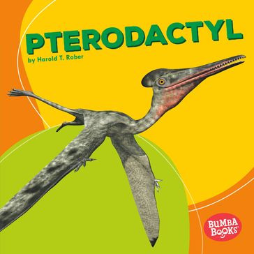 Pterodactyl - Harold Rober