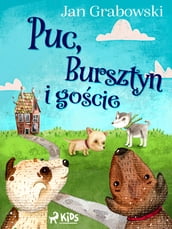 Puc, Bursztyn i gocie