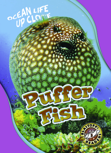 Puffer Fish - Rebecca Pettiford