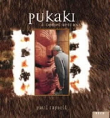 Pukaki - a comet returns - Paul Tapsell