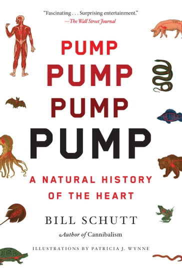 Pump - Bill Schutt