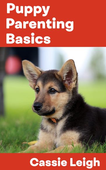 Puppy Parenting Basics - Cassie Leigh