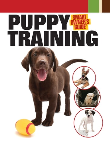 Puppy Training - Bardi McLennan - Miriam Fields-Babineau
