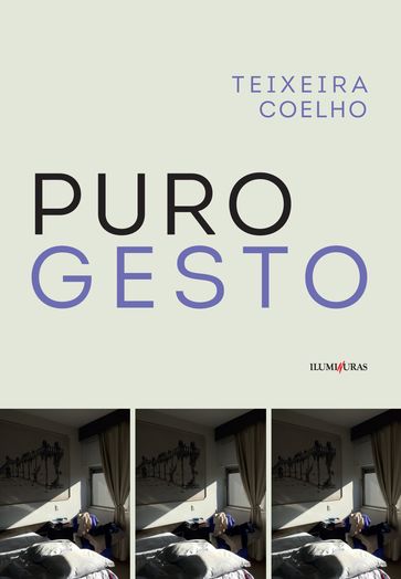 Puro gesto - Teixeira Coelho