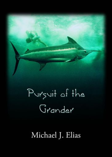 Pursuit of the Grander - Michael Elias