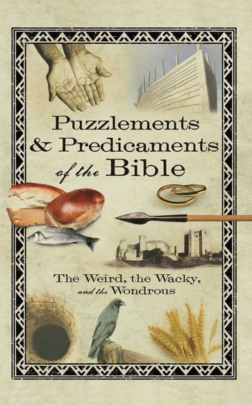 Puzzlements & Predicaments of the Bible - Howard Books