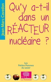 Qu y a-t-il dans un réacteur nucléaire ?