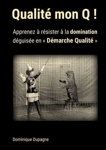 Qualité mon Q ! - Dominique Dupagne