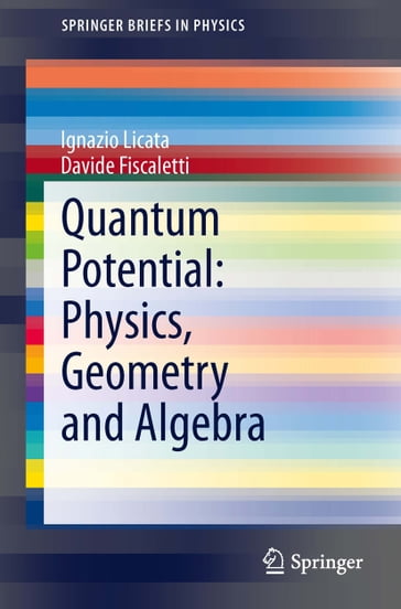 Quantum Potential: Physics, Geometry and Algebra - Ignazio Licata - Davide Fiscaletti