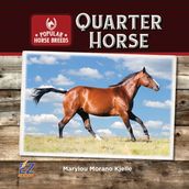 Quarter Horse