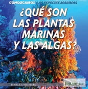 Qué son las plantas marinas y las algas? (What Are Sea Plants and Algae?)