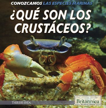 Qué son los crustáceos? (What Are Crustaceans?) - Therese Shea