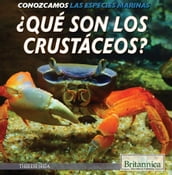 Qué son los crustáceos? (What Are Crustaceans?)