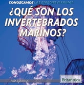 Qué son los invertebrados marinos? (What Are Sea Invertebrates?)