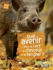 Quel avenir pour le cerf, le chevreuil et le sanglier ?