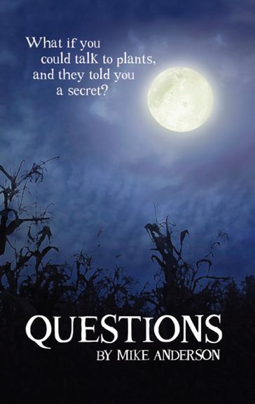 Questions - Mike Anderson