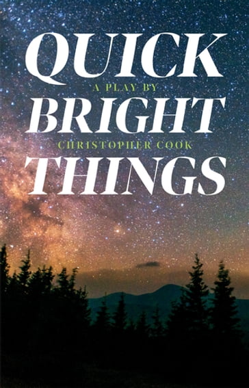 Quick Bright Things - Christina Cook