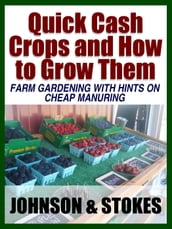 Quick Cash Crops and How to Grow Them
