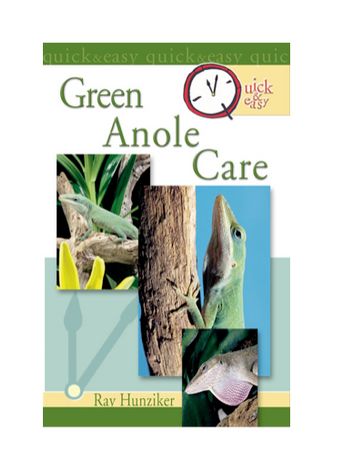 Quick & Easy Green Anole Care - Ray Hunziker