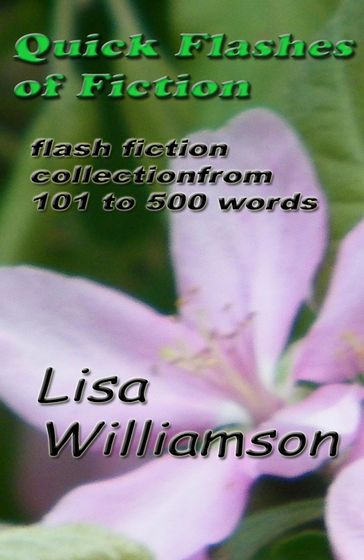 Quick Flashes of Fiction - Lisa Williamson