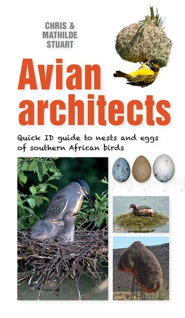 Quick ID Guide  Avian Architects - Chris Stuart - Mathilde Stuart