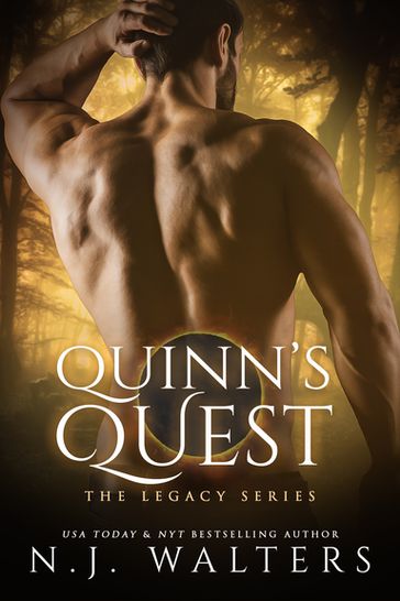 Quinn's Quest - N.J. Walters