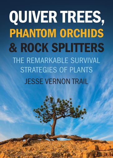 Quiver Trees, Phantom Orchids & Rock Splitters - Jesse Vernon Trail