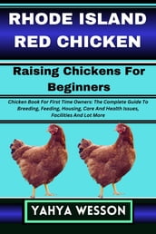 RHODE ISLAND RED CHICKEN Raising Chickens For Beginners