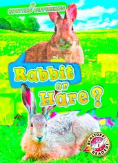 Rabbit or Hare?