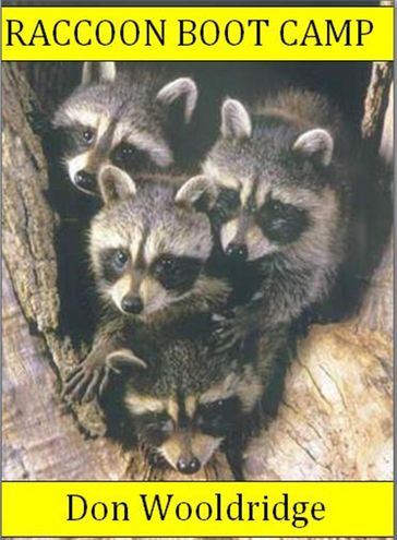 Raccoon Boot Camp - Don Wooldridge