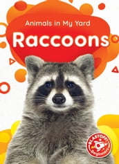 Raccoons