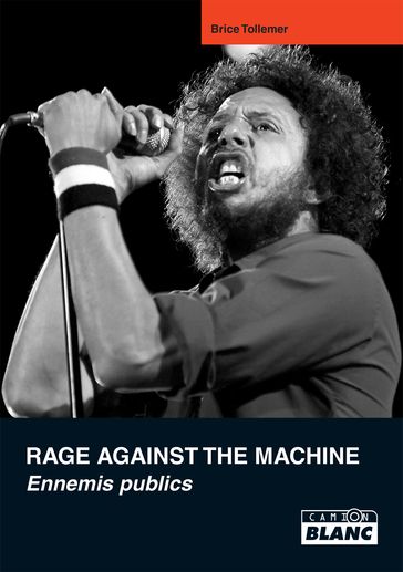 Rage against the machine - Brice Tollemer