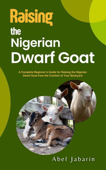 Raising the Nigerian Dwarf Goat - Abel Jabarin