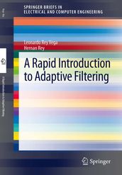 A Rapid Introduction to Adaptive Filtering