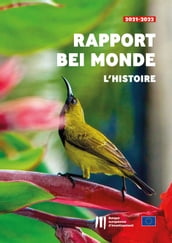 Rapport « BEI Monde  L