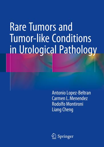 Rare Tumors and Tumor-like Conditions in Urological Pathology - Antonio Lopez-Beltran - Carmen L. Menendez - Liang Cheng - Rodolfo Montironi