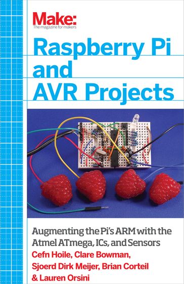 Raspberry Pi and AVR Projects - Brian Corteil - Cefn Hoile - Clare Bowman - Lauren Orsini - Sjoerd Dirk Meijer - Troy Mott