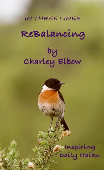 ReBalancing: Inspiring Daily Haiku - Charley Elbow
