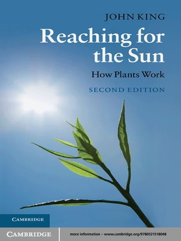 Reaching for the Sun - John King
