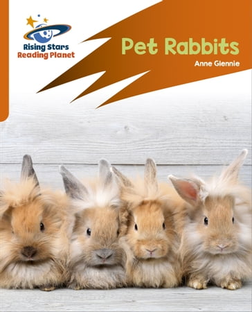 Reading Planet: Rocket Phonics  Target Practice  Pet Rabbits  Orange - Anne Glennie