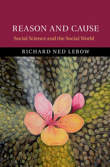 Reason and Cause - Richard Ned Lebow