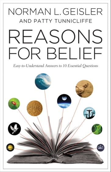 Reasons for Belief - Norman L. Geisler - Patty Tunnicliffe