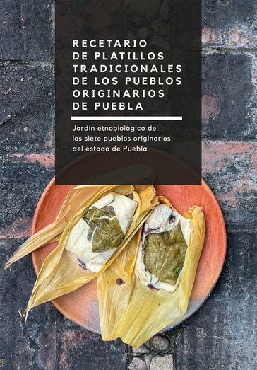 Recetario de platillos tradicionales de los pueblos originarios de Puebla - Ana María Teresa García García - Guillermo López Varela - Mauricio Piñón Vargas