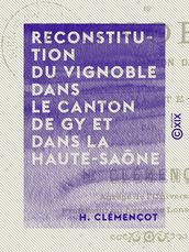 Reconstitution du vignoble dans le canton de Gy et dans la Haute-Saône